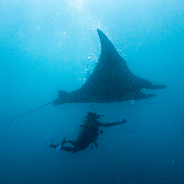 Investigacion Regional